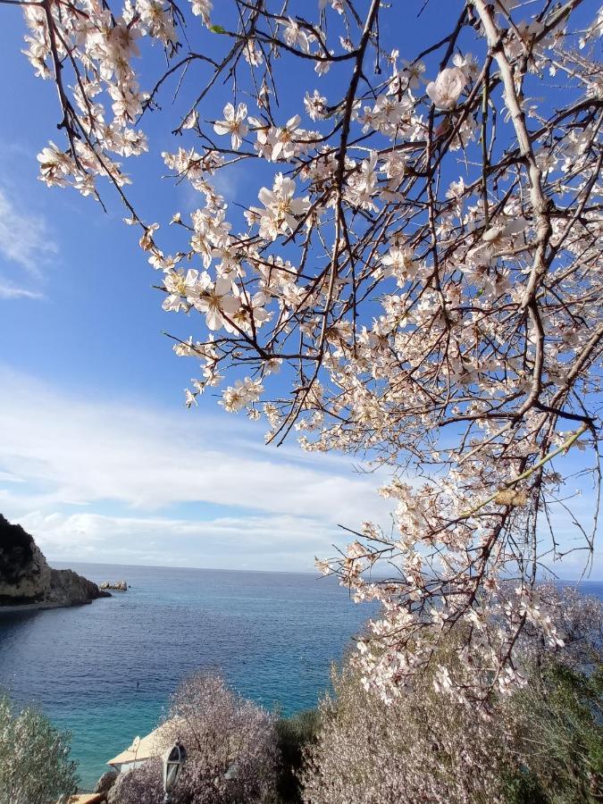 Hotel Ostria Áyios Nikítas Esterno foto